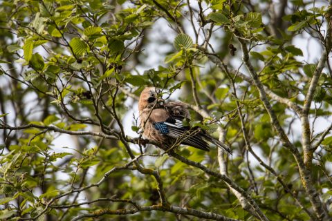 100524   17.24  IMG 0208 Enhanced NR